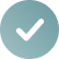 first checkmark icon