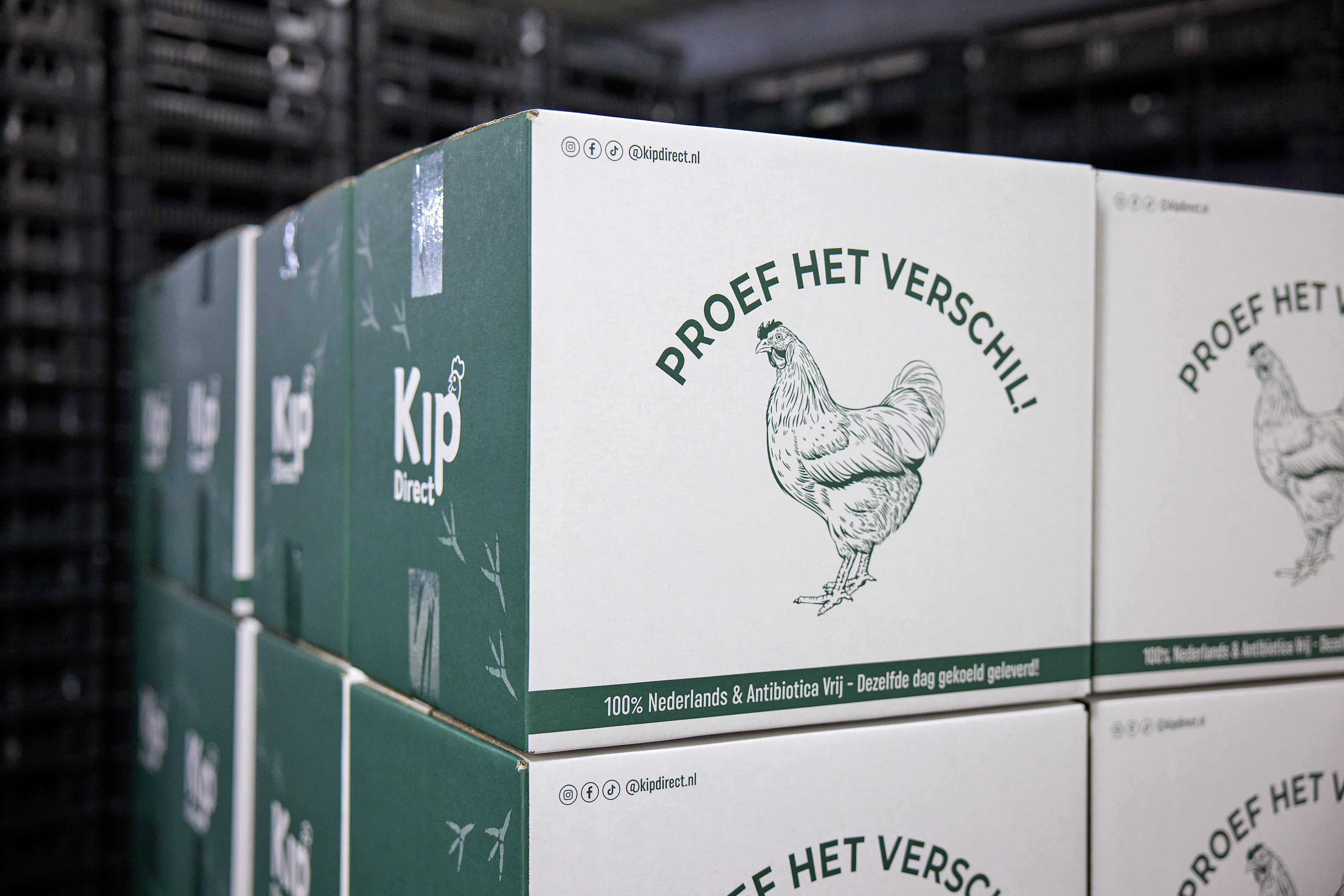 Snelle gekoelde bezorging