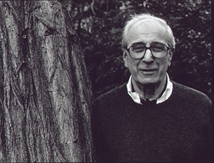 Giovanni Calvi