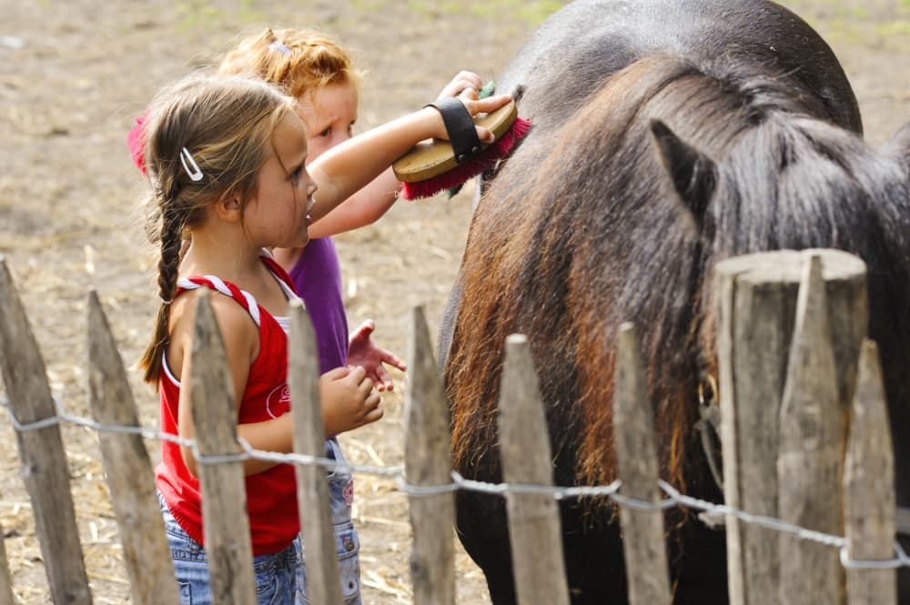 Kinderen bij de boerderij