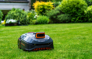 i600 in a garden
