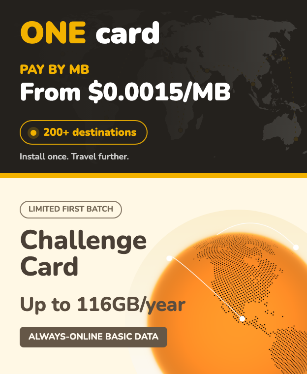 co:sim ONE card and Challenge Card
